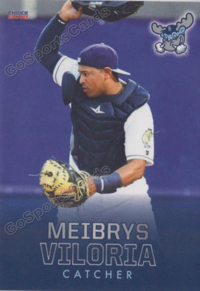 2018 Topps Heritage Minor League Meibrys Viloria Card