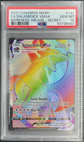 Salamence VMAX (Darkness Ablaze #143, Secret Rare)